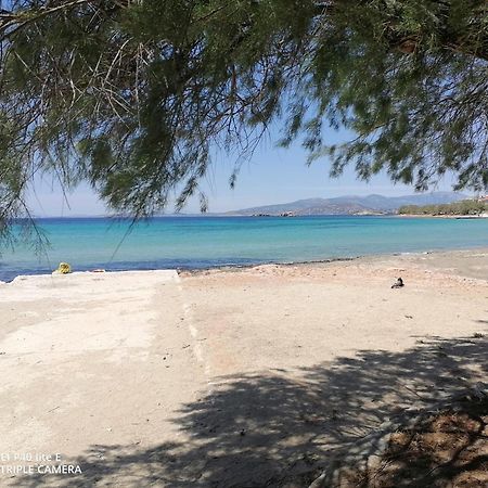 Beach N Fun Bbq Fireplace Saronida Kamer foto